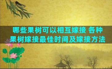 哪些果树可以相互嫁接 各种果树嫁接最佳时间及嫁接方法